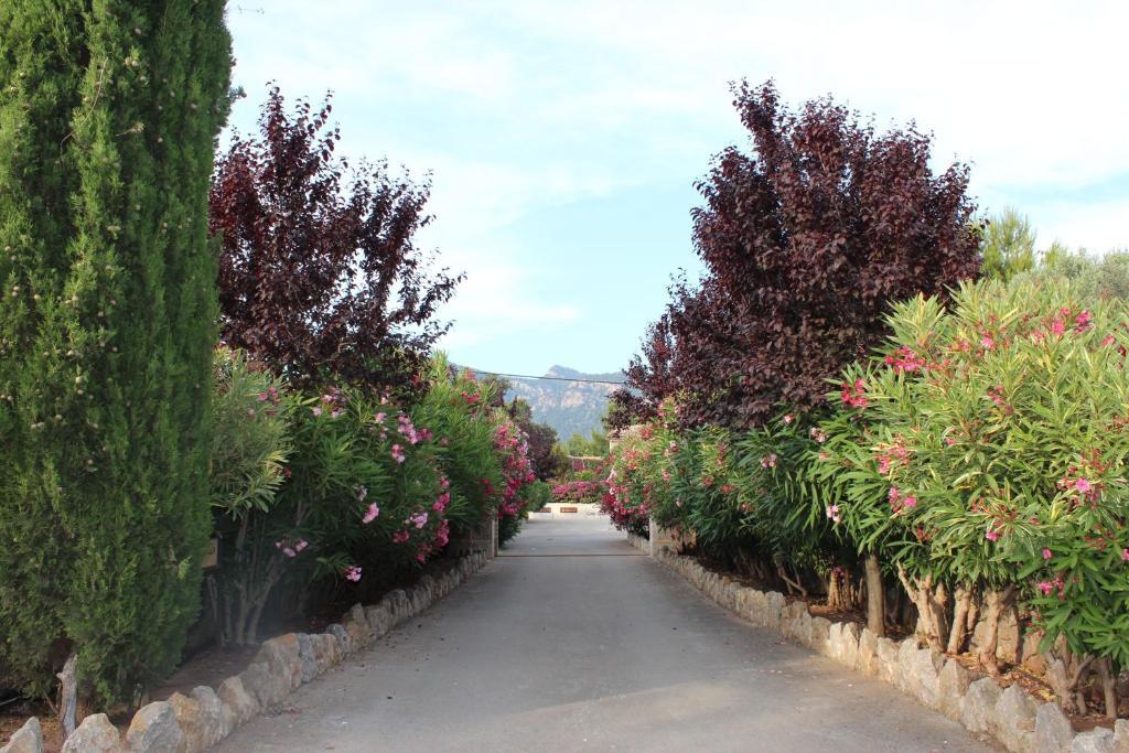 Ca'S Garriguer Villa Valldemossa  Exteriör bild
